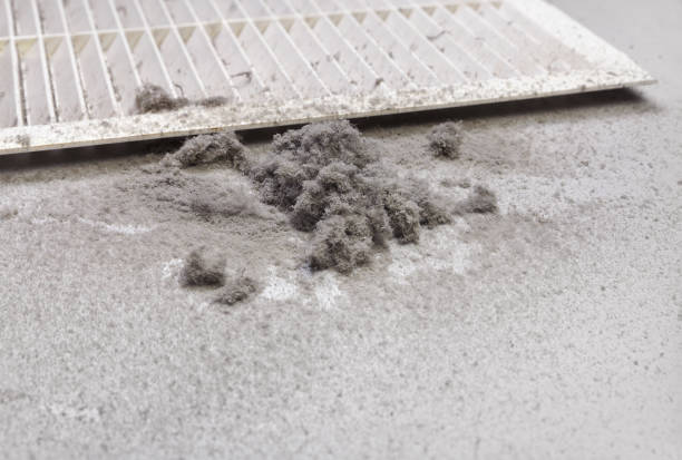 Best Air Duct Mold Removal  in Watsessing, NJ