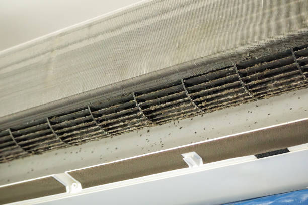 Best Air Quality Test  in Watsessing, NJ